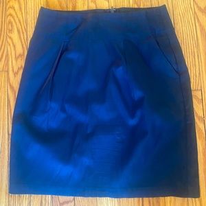 Banana Republic Pencil Skirt